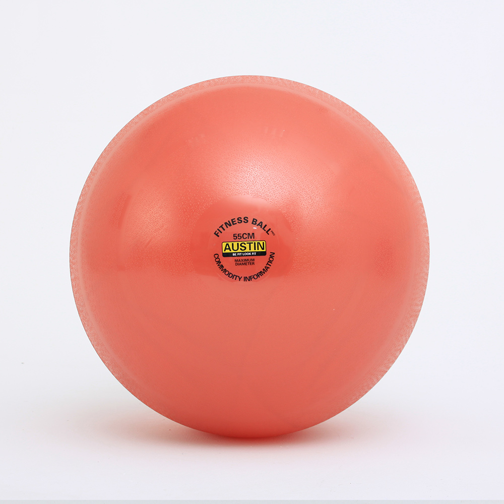 65 CM Gym Exercise Eco Friendly Yoga Ball Balance Fitness PVC Yoga Ball
