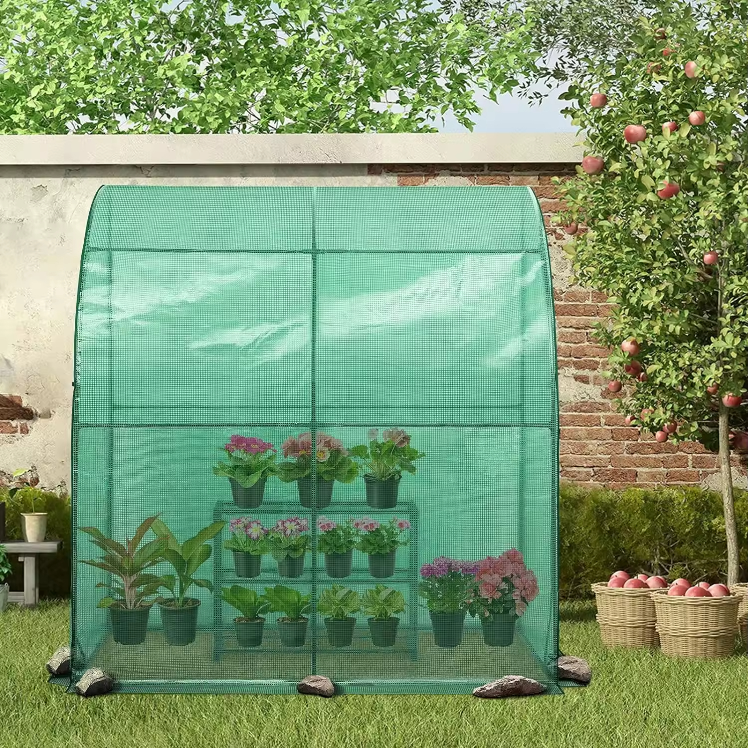Tomato Green House Cheap Home Garden Mini Greenhouses Manufacturer Other Indoor Small Plastic Greenhouses For Sale