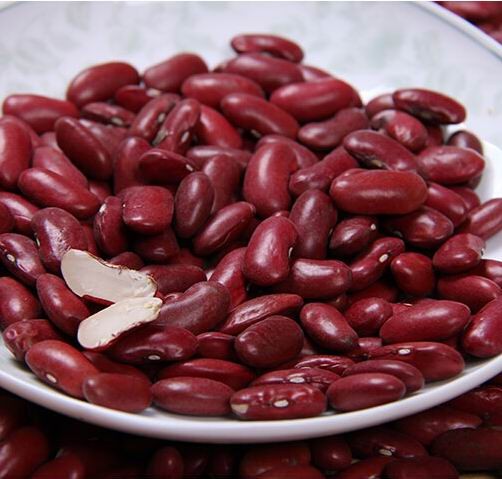 New crop2019 темно-красная фасоль оптом/DRKB/RAJMA/выбранная H.P.S