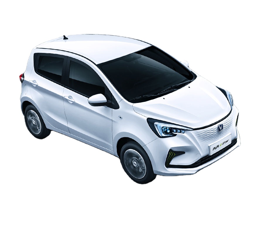 Обновленный популярный электрический автомобиль 55 кВт высокоскоростной Тип 301 км дальность вождения V STAR
