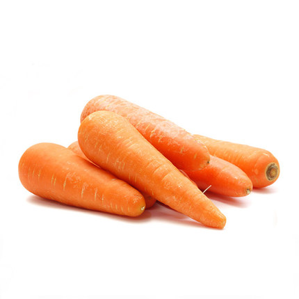 Hot Selling chinese New Crop sell sell fresh carrot