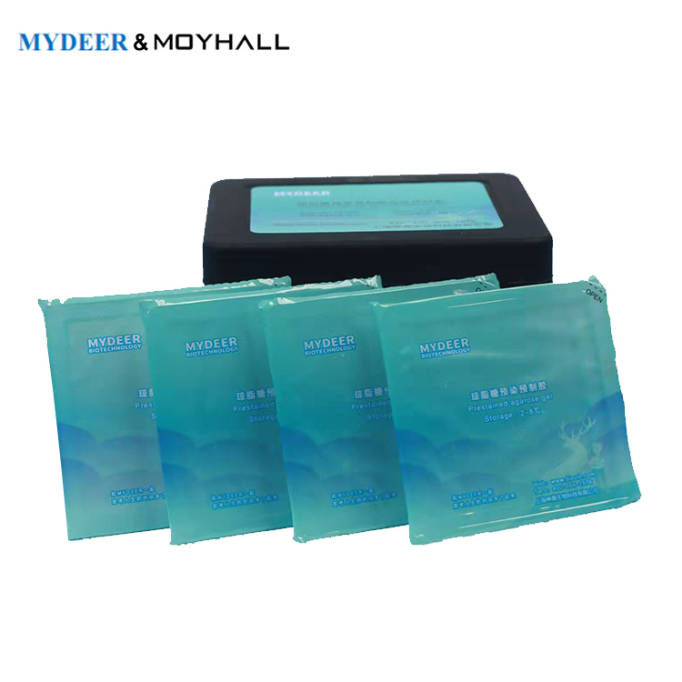 Wholesale Low Moq Prestained Agarose Gel Electrophoresis Kit