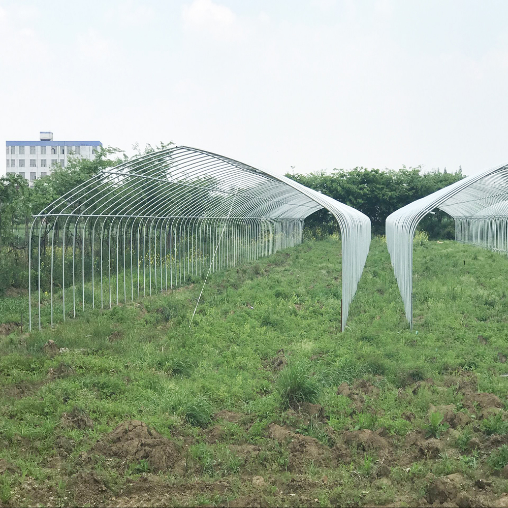 Agriculture Industrial Poly Tunnel Greenhouse Strong Structure Round Arch Other Greenhouses Plastic Film Green House