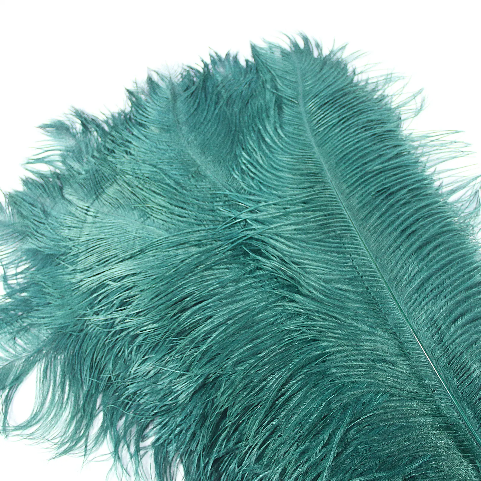 big plumas 55-60 cm long  white feathers wing 144 colors dyed Ostrich Feathers wall decor for wedding party