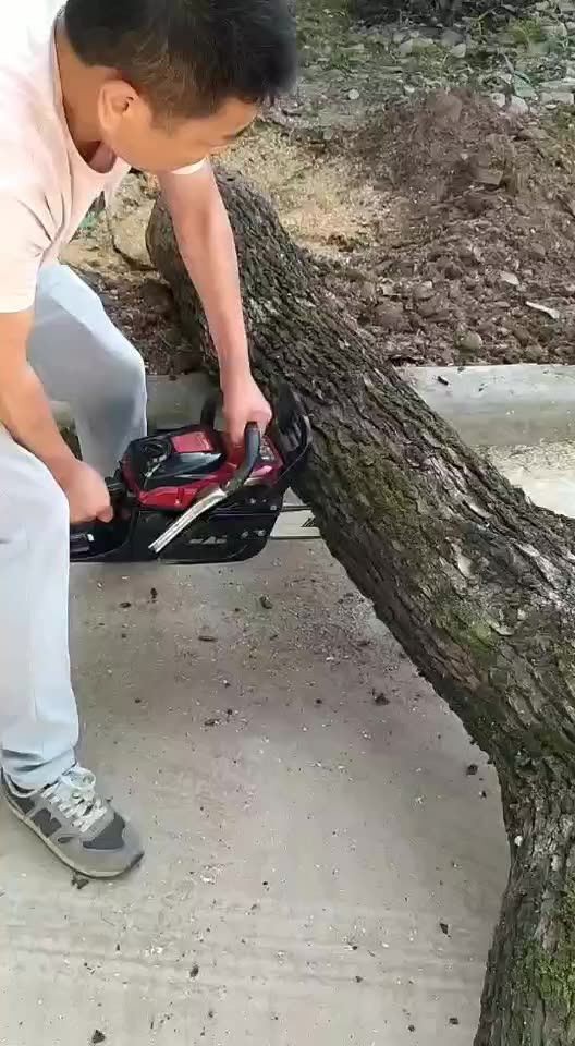 Factory Direct Sales Can Be Wholesale High Quality Gasoline Portable Professional Hand Chainsaw Machines