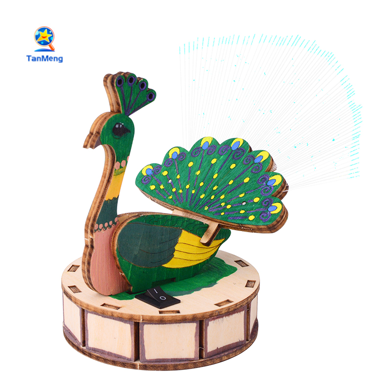 DIY Fiber Optic Light Peacock Screen Light Science Kits Colorful Peacock Lamp Gift Best Toys For Kids