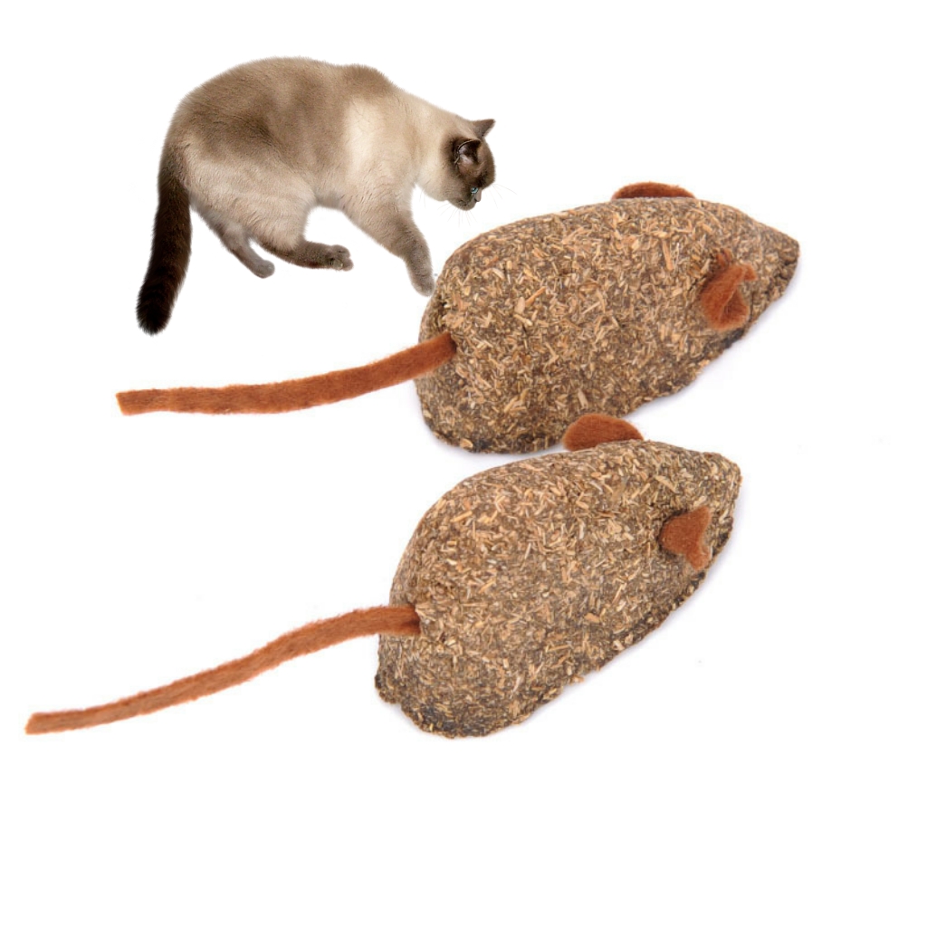 Cat snacks tease cats toys kitten teeth cleaning Rugby environmental friendly cute interactive mouse cat grass catnip ball