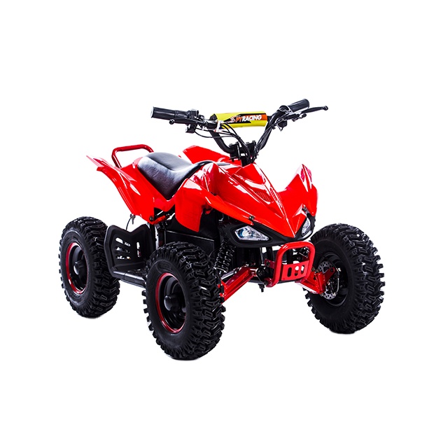 24V ATV MANUFACTURE FOR SALE