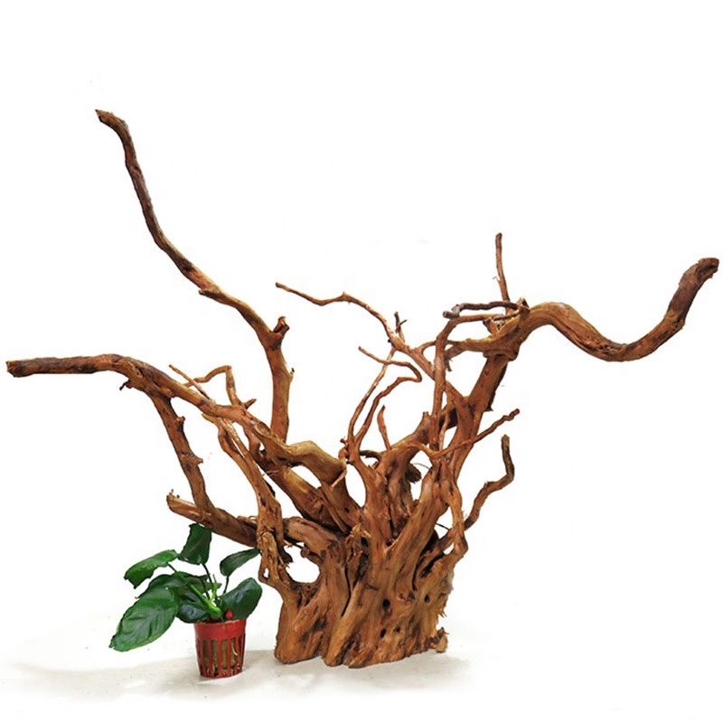 glass fish tank aquarium wood natural driftwood root stand malaysian driftwood azalea tree spider wood aquascape root driftwood
