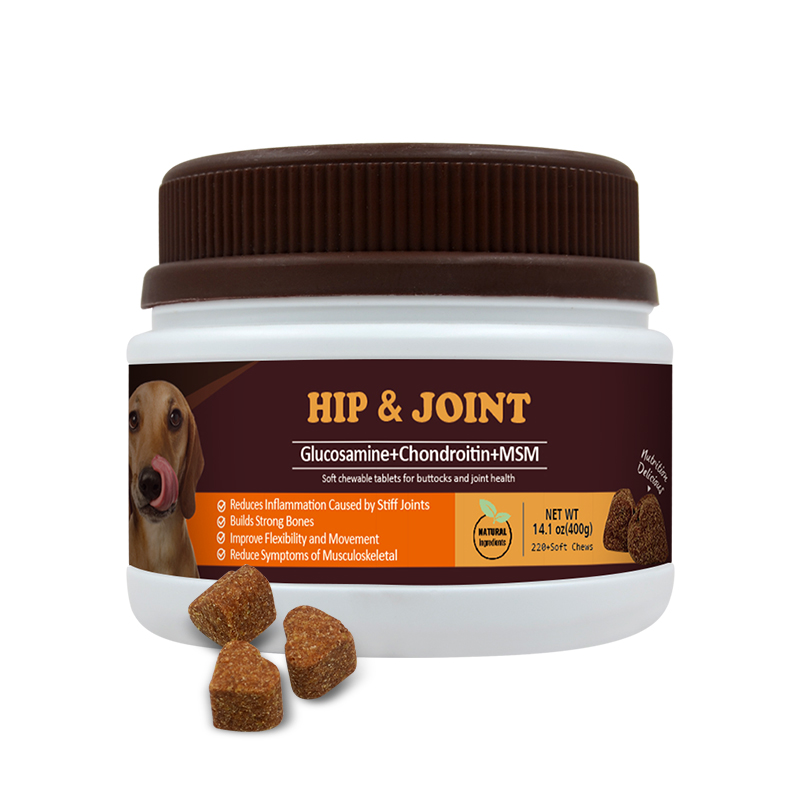 hip joint