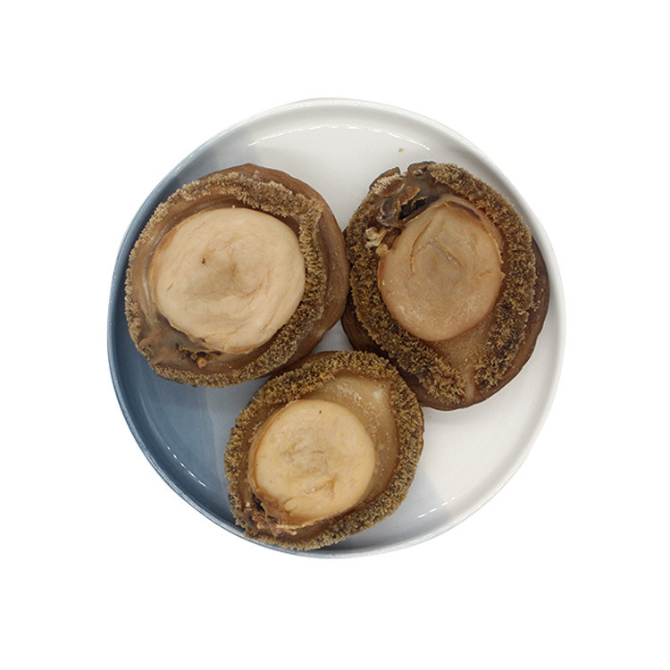 Wholesale Yellow Flat Round Food Abalone Star Fresh Abalone Price