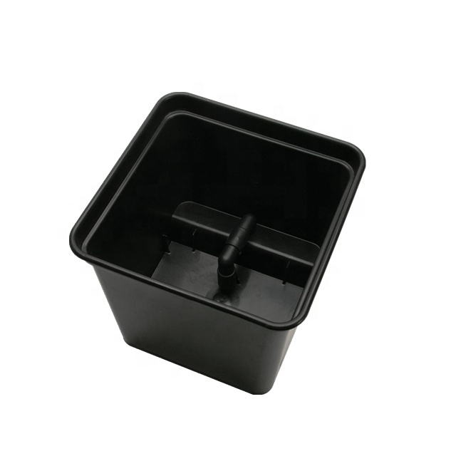 Hydroponic Dutch Bato Bucket Trough Growing Systems for Tomatoes