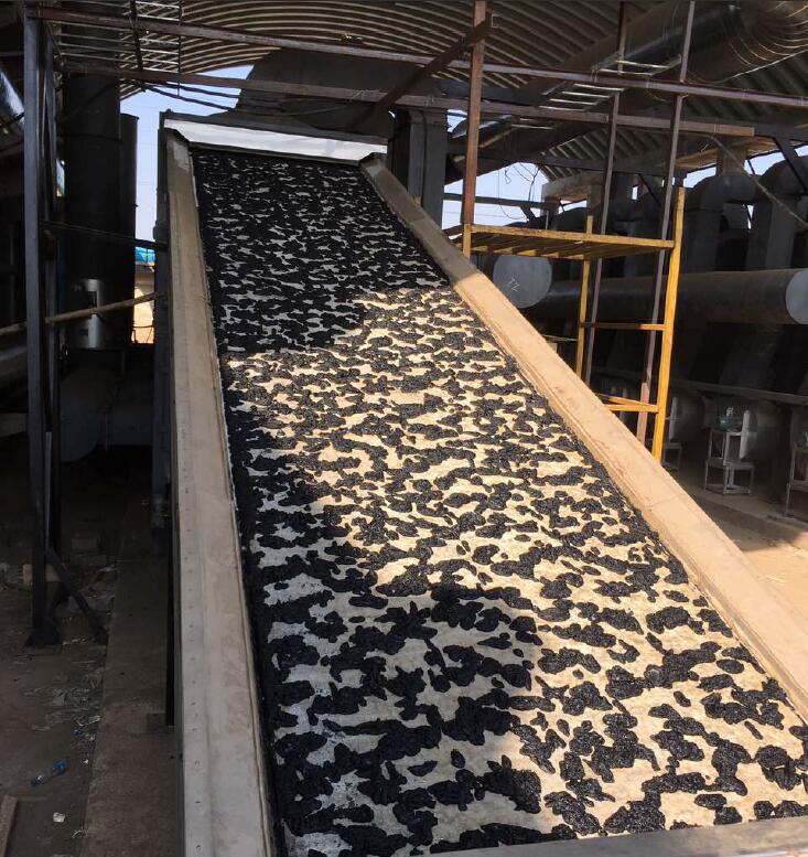 DW Series Single-Layer Mesh Belt Dryer for drying the sludge