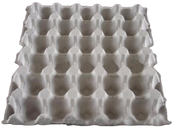 Manufacturer disposable paper molded dry fruit tray egg tray equipment
