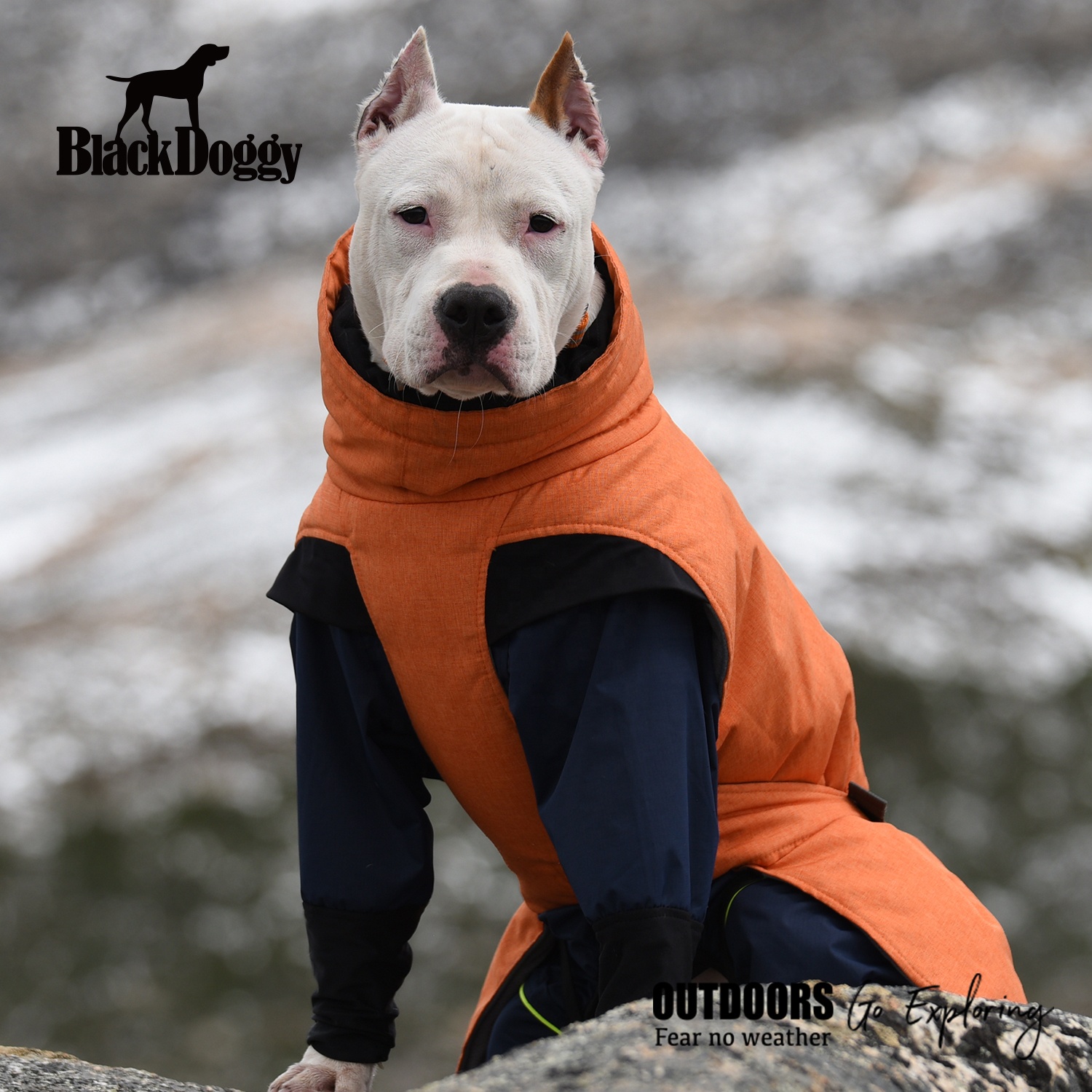 BlackDoggy Водонепроницаемая Толстая теплая Светоотражающая одежда для домашних животных зимнее пальто для большой собаки