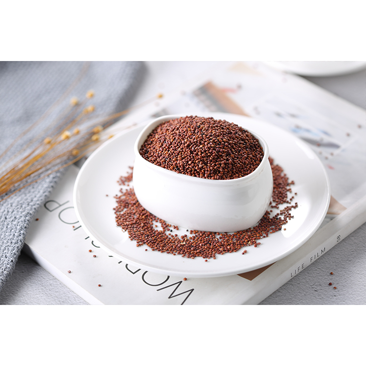 Top Sale Guaranteed Quality Grade Quinoa Grains Wholesale Red Quinoa Seeds