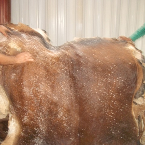 100% Sun Dry Cow Hide , Buffalo Hide, Sheepskin, Natural Leather