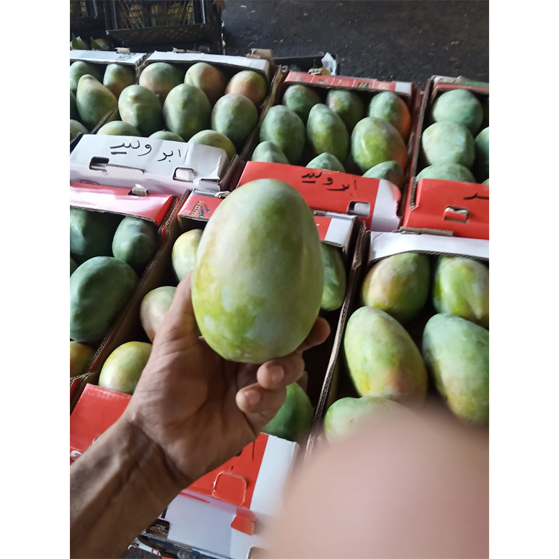 100% Natural Delicious Mango Cheap Price Mango Fresh Fruits