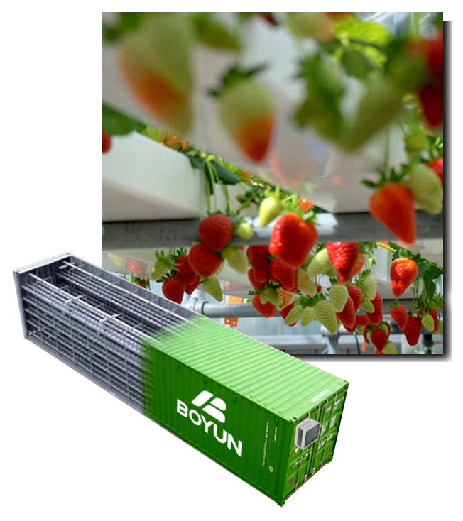 BOYUN smart hydroponic container farm Vertical hydroponic cultivation