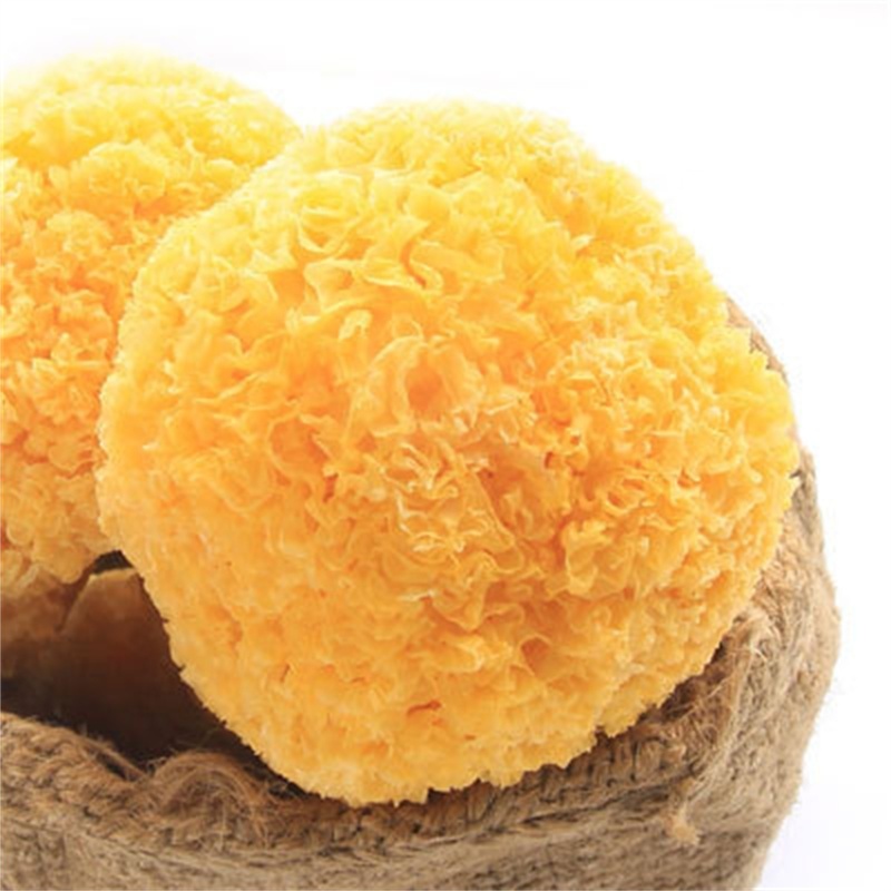 Whole Organic Healthy Food Instant Snow Fungus White Jelly Mushroom Tremella Fuciformis