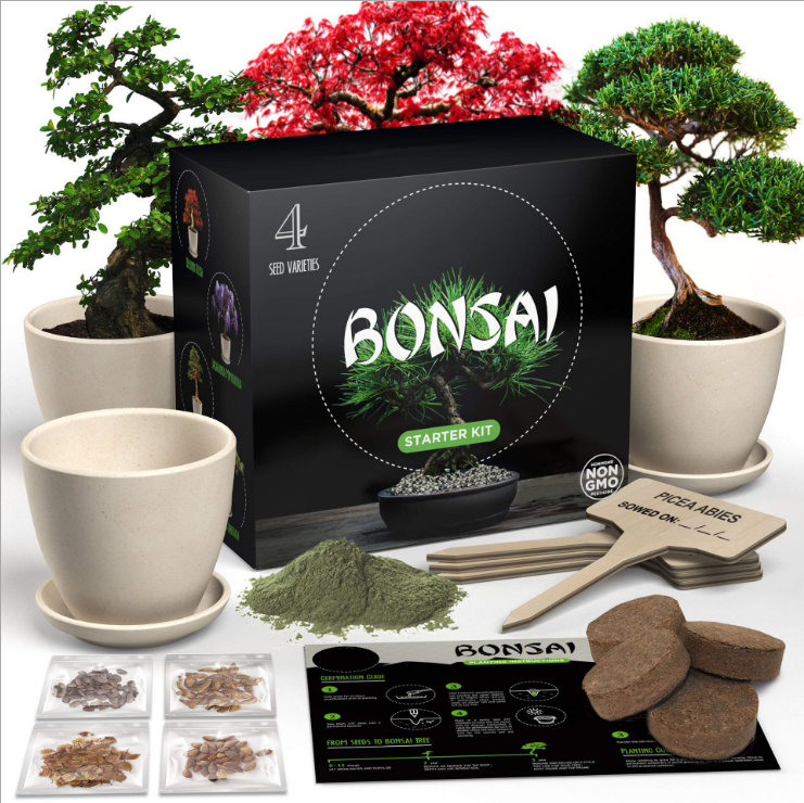Corrosion Resistant Degradable Starter Planting Bonsai Kit -DIY Indoor Bonsai Tree Seeds Includes Seed Pot Peat Soil