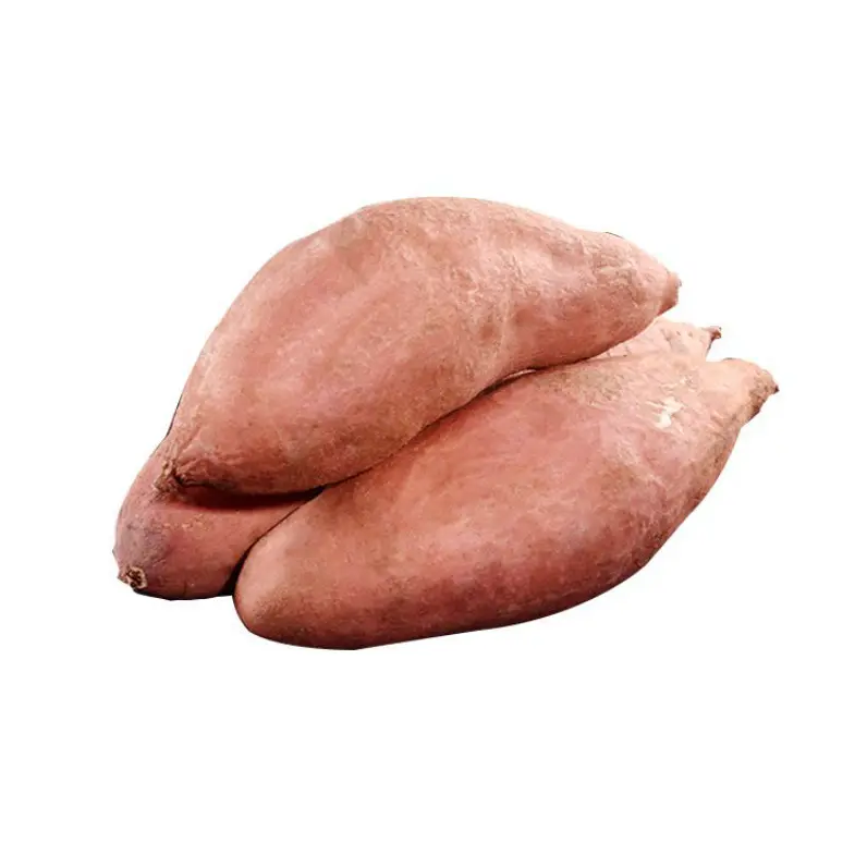 Best sell wholesale fresh onions are used for cooking sweet potatoes seasonal high-quality sweet sweet potatoes