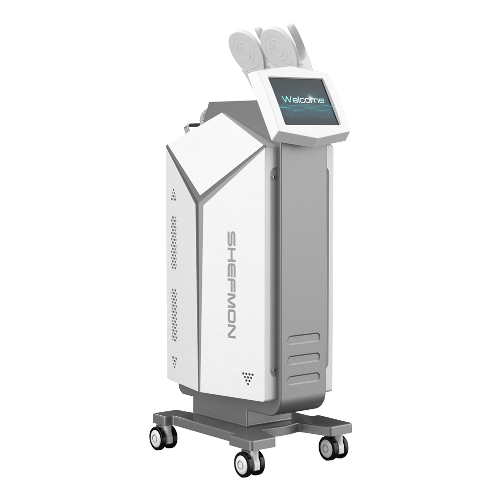 Тренд 2020 Ems Слимминг Бьюти Ems лепить Emsculpting тела лепить Bodysculpt машина отзывы
