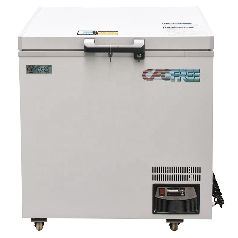 -60 Degree 168L Chest Commercial Tuna Deep Freezer for Meat and Fish Storage