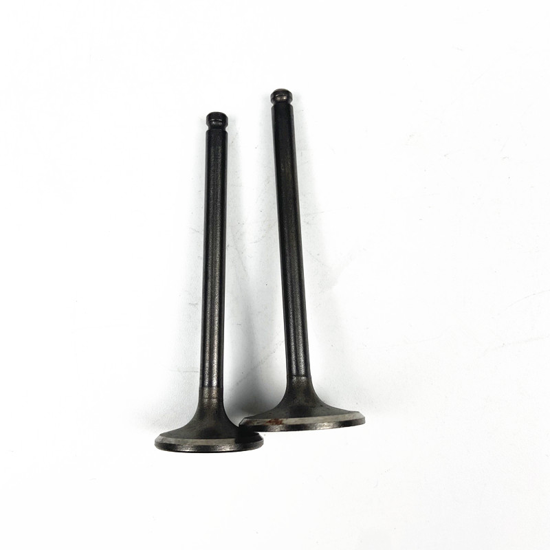 motorcycle engine valve for VEGA ZR