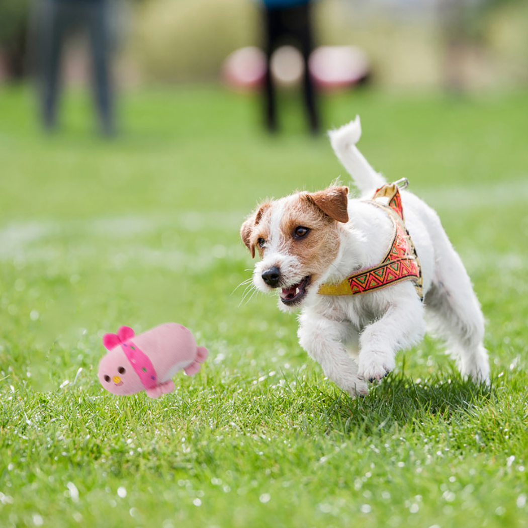 1pc Plush Squeaky Bone Dog Toys Bite-Resistant Clean Dog Chew Puppy Training Toy Soft Banana Carrot And Vegetable Pet Supplies
