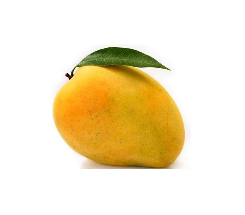 Mango Fresh Fruits With High Quality Good Price TEJC For Sale From Srilanka