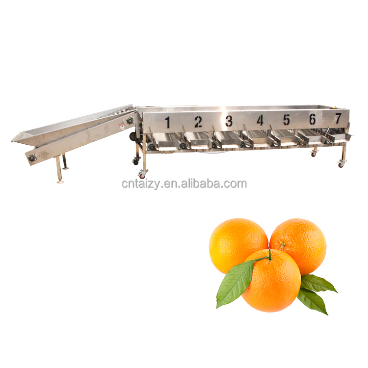 Factory Price Vegetable Size Grader Automatic Fruit Sorter Apple Potato Tomato Orange Onion Grading Machine