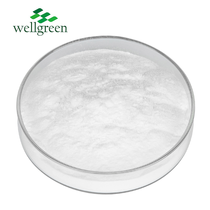 Wellgreen, Фабричный органический экстракт корня цикория, артишок, 9005-80-5, халяльный порошок инулина