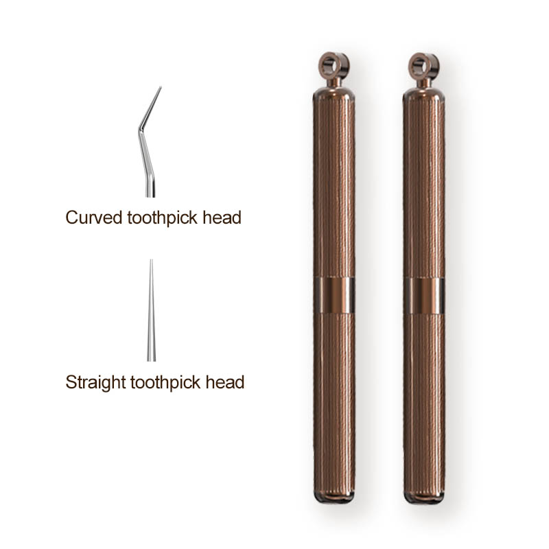 Palillos de metal tartar remover toothpicks portable manufacturing independent packaging holder reusable Metal toothpicks