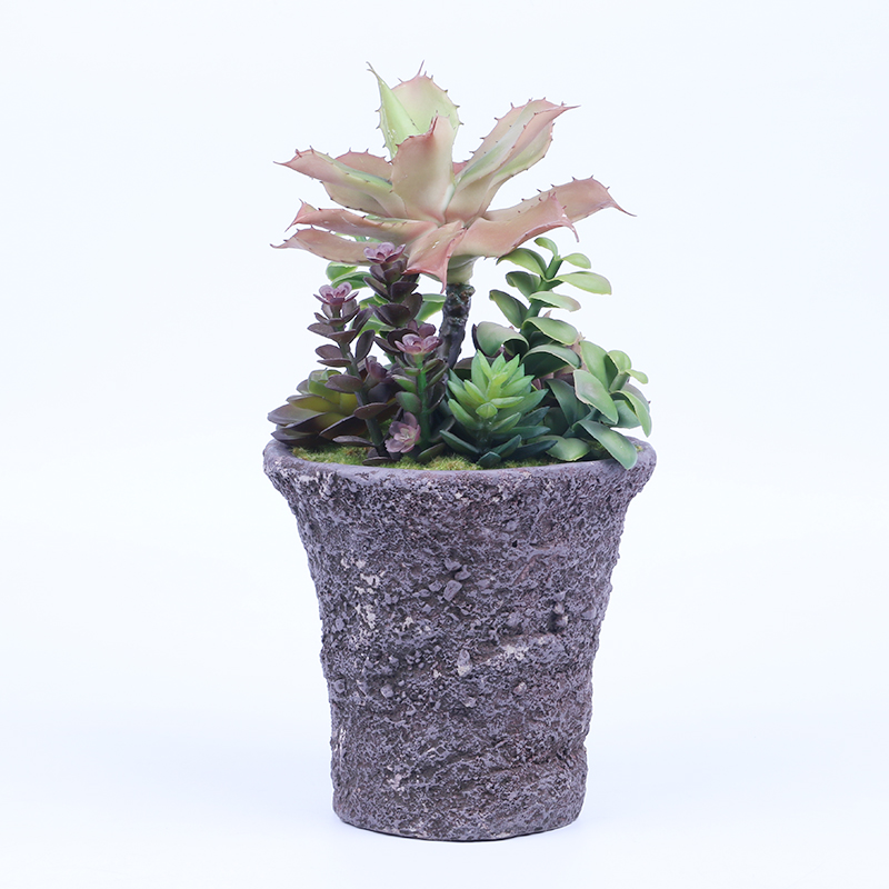 ES1057 High-Quality Artificial Succulent Plants Set With Glass Pots In Wooden Tray Succulents For Home Decor