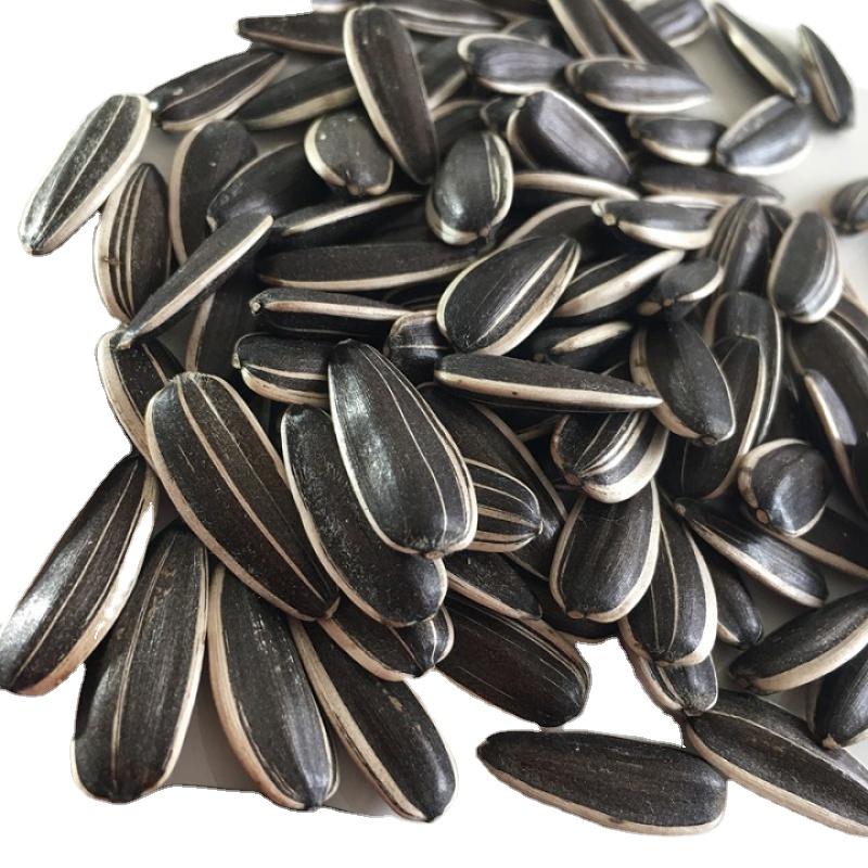 Wholesale Cheap Chinese Sunflower Seeds/Kernel