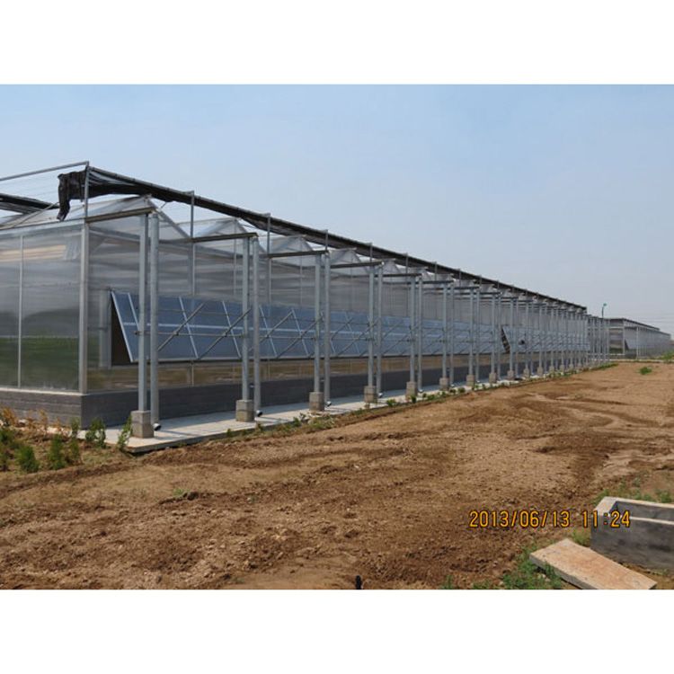 Professional Manufacturer Solar Panel Greenhouse For High-quality Manufacturers