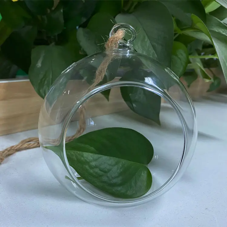 Wholesale decorative hanging terrarium ball globe glass orbs