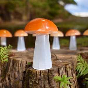 New High Quality Natural Gemstone Selenite Mushrooms Semi-Precious Stone Crafts Home decoration products in wholesale