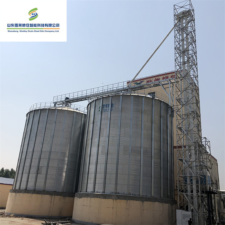 High Standard Agriculture Flat Bottom Silo with Conveying System