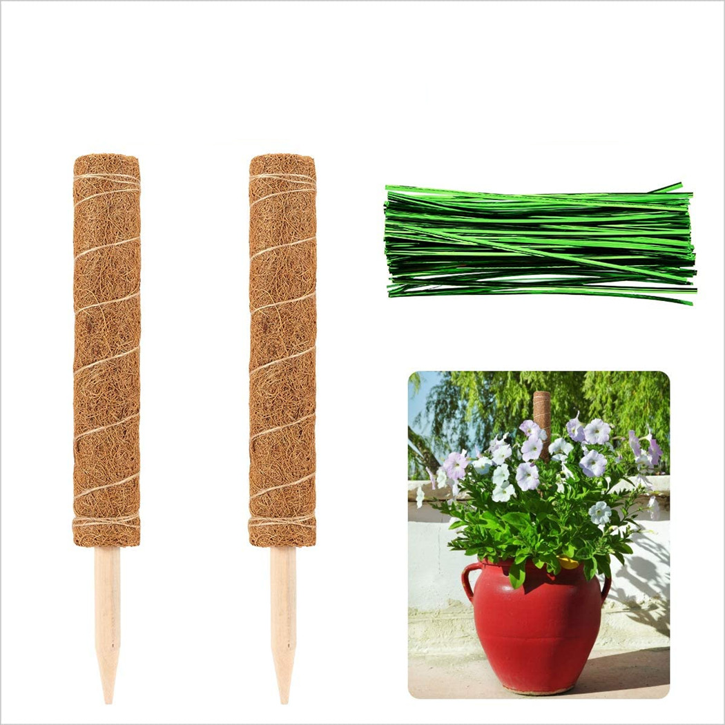 Лидер продаж на Amazon, Coir Moss Totem Pole Coir Moss Stick для Крипера, поддержка растений, расширение, альпинизм, Комнатные растения, 2 шт.
