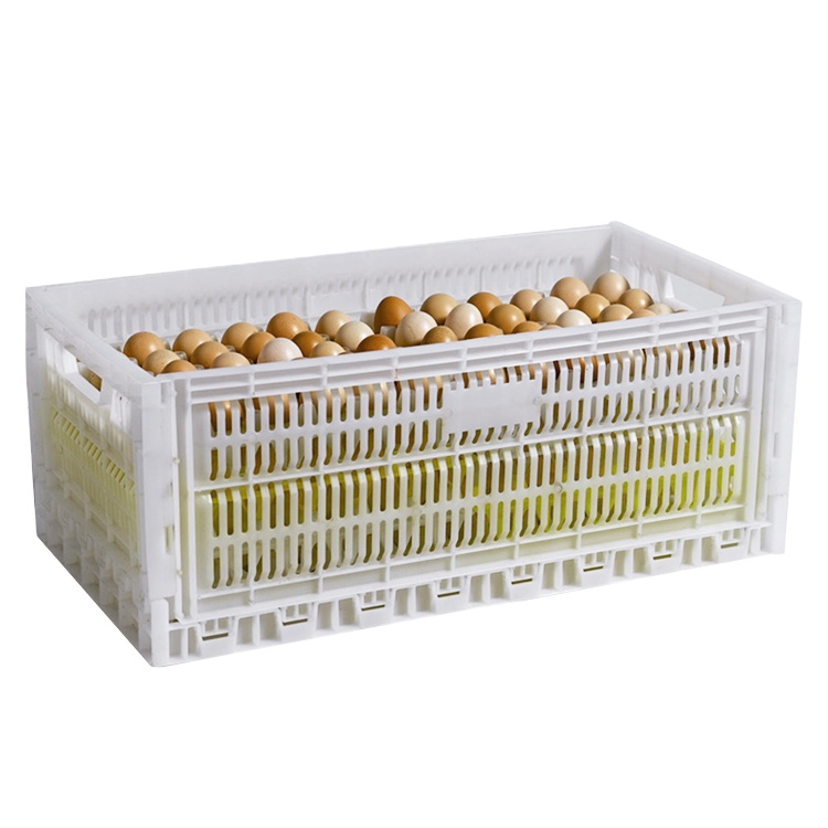 White plastic collapsible foldable Egg crate transportation crate poultry crate for birds