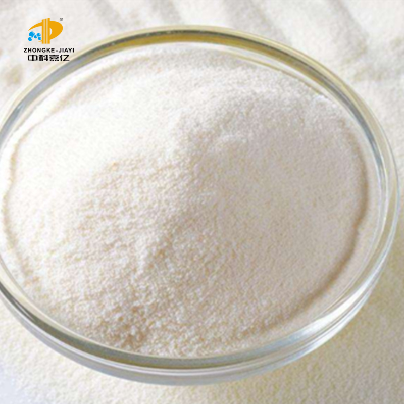 Замораживание сушеных пробиотиков Lactobacillus Paracasei для капсулы
