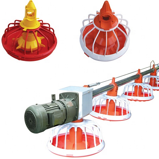 Feeders For Chickens Animal Feeders Automatic Poultry Farming System For Chickens