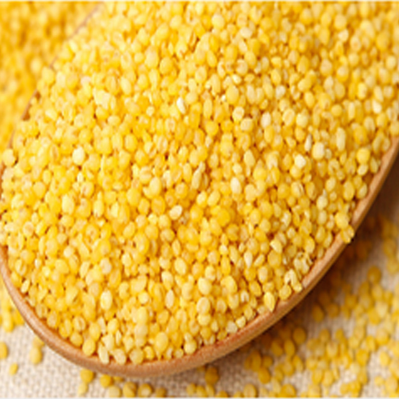 hulled millet yellow millet yellow millet cheap price best quality