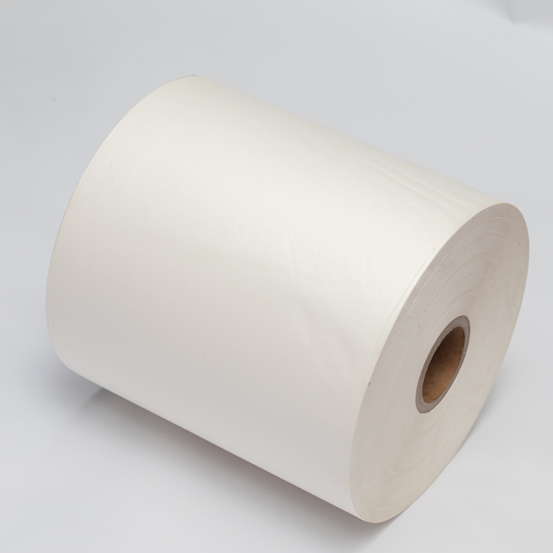 Free Sample Pe Coated Paper raw paper cup rolls For with single side pe coated paper cup