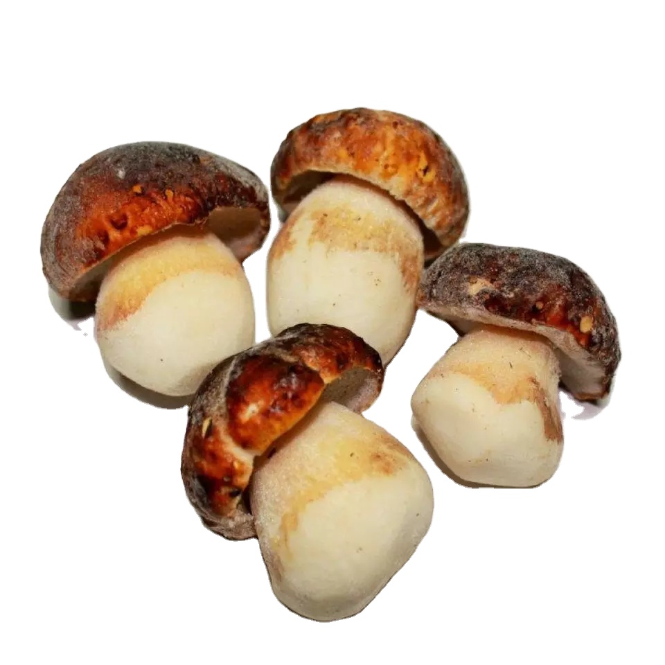 Замороженные дикие porcini грибы с чистым диким сезонным грибом Detan экспорт
