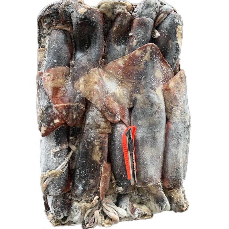 Тушки круглая кальмара Перу кальмар dosidicus gigas Экваториальная кальмара