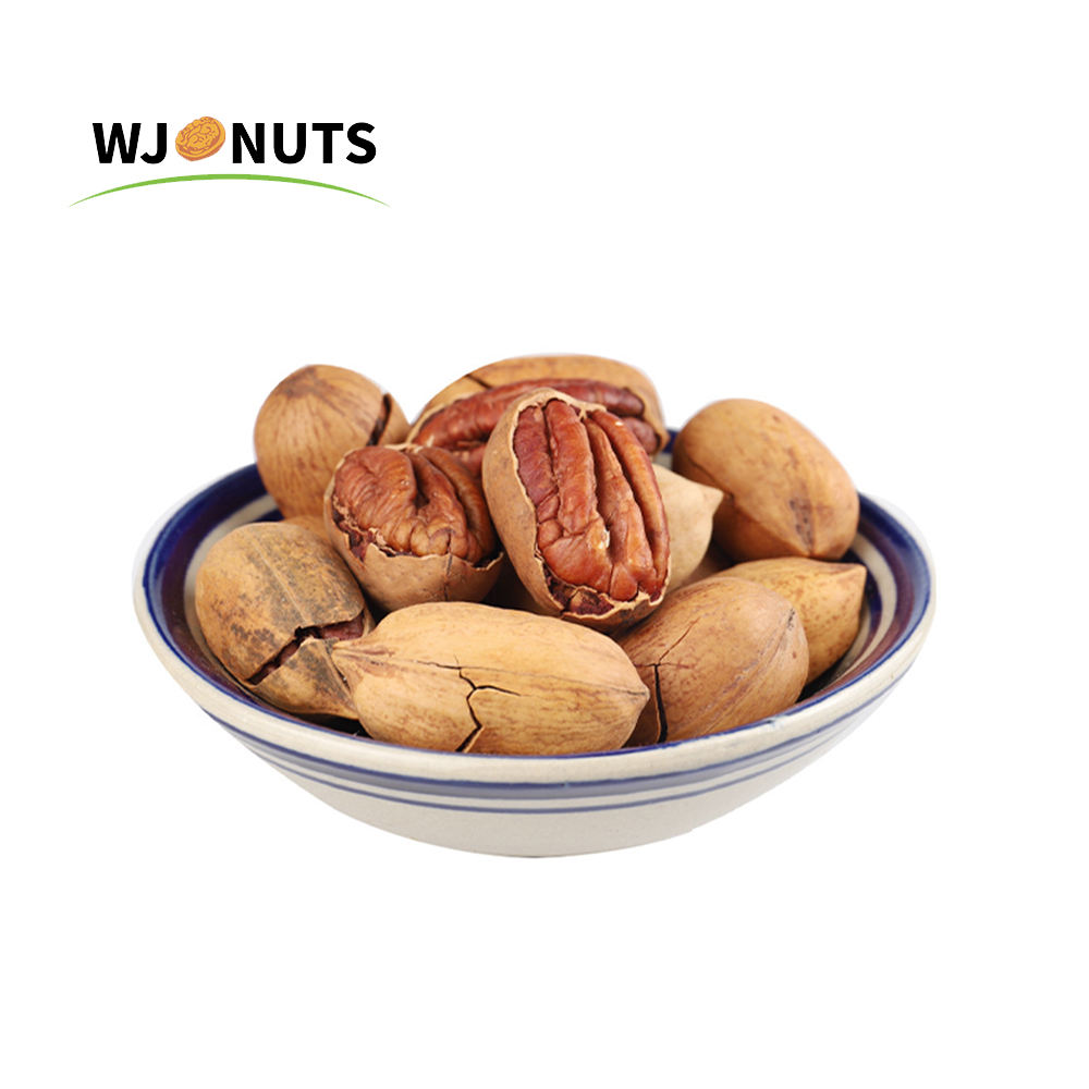 Wangjiang factory wholesale fresh raw shelled pecan nuts