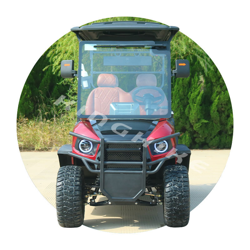 Club car Electric Golf Car 2 4 6 8 Seats Metal Steel Plastic Golf Scooter off road Golf Cart with Curtis Controller